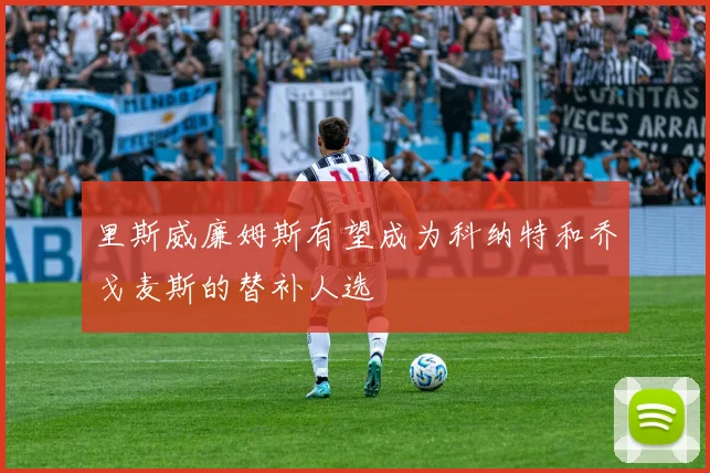 里斯威廉姆斯有望成为科纳特和乔戈麦斯的替补人选